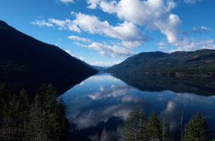 Deux plumes entrecroisées